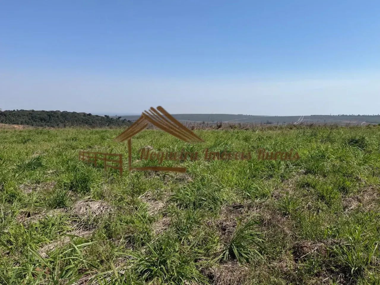 Sitio com 4 alqueires na região de Santa Maria da Serra-SP - Foto 5