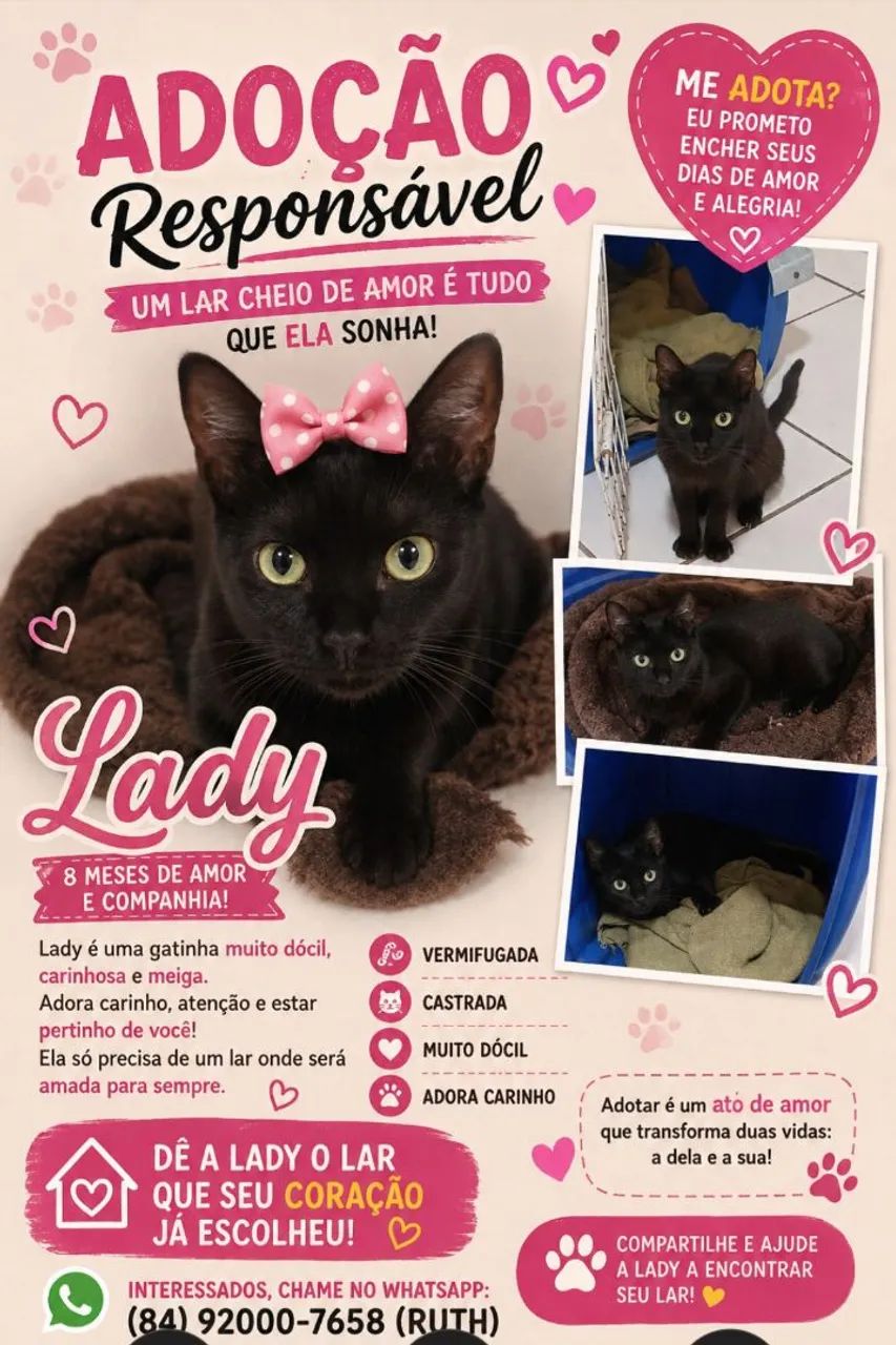 Gatinhos para adoção responsável  - Foto 2