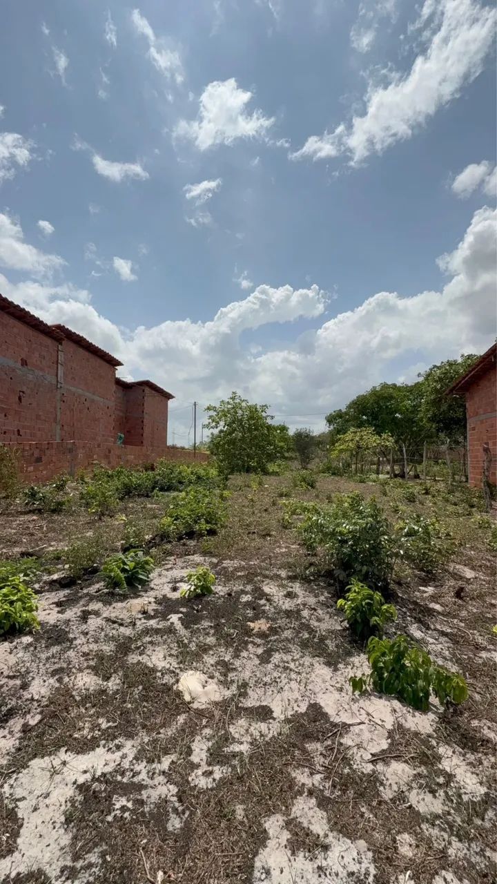 Terreno a beira do rio , povoado andiroba . - Foto 6
