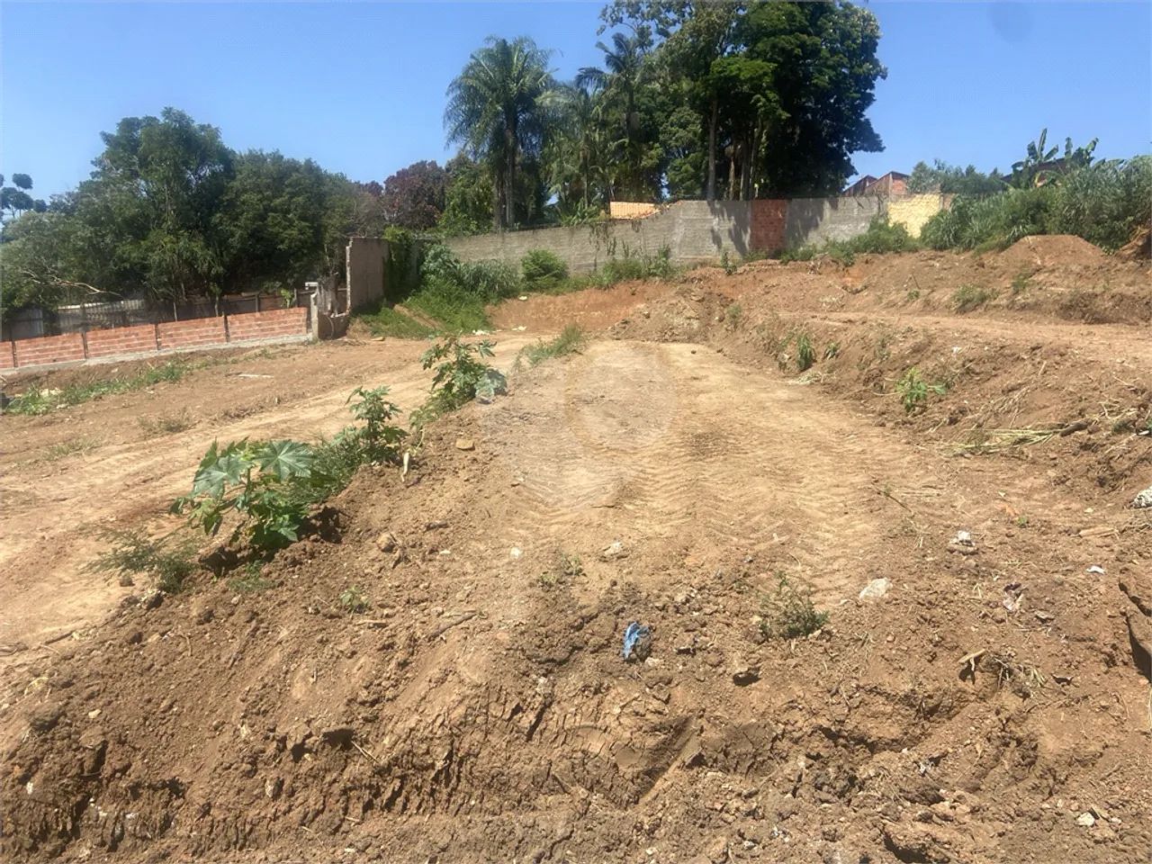 Terreno à venda em Vila belo horizonte - SP - Foto 2