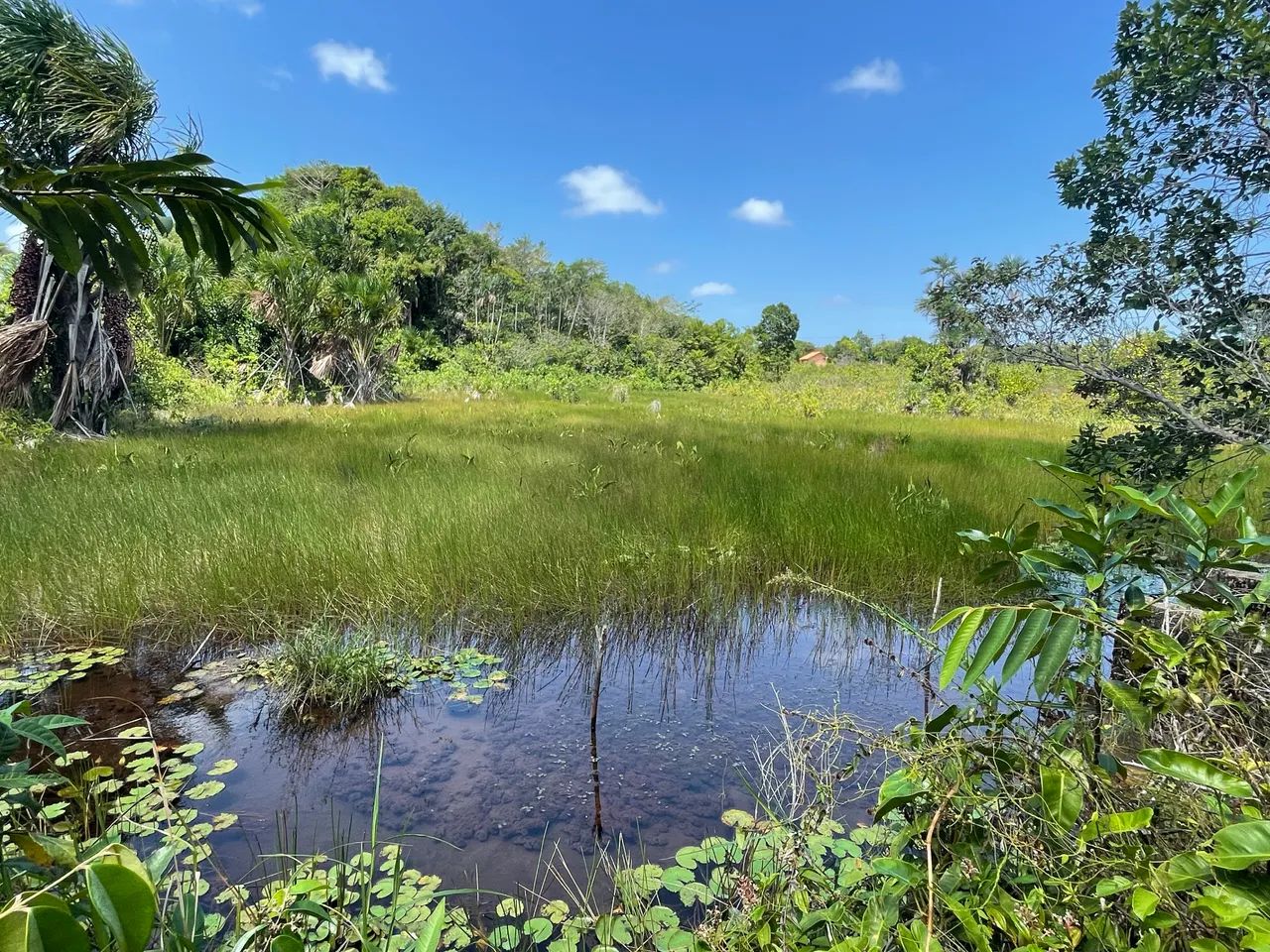 Vende-se Propriedade em Marapanim/PA - Foto 5