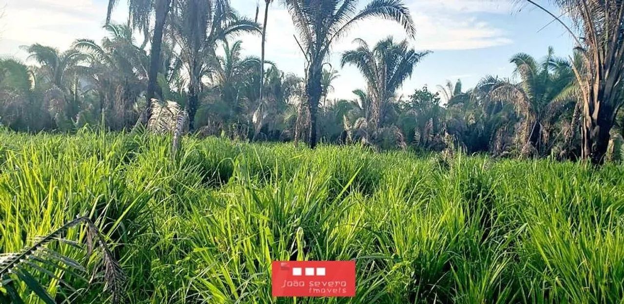 Fazenda para Venda em Recursolândia