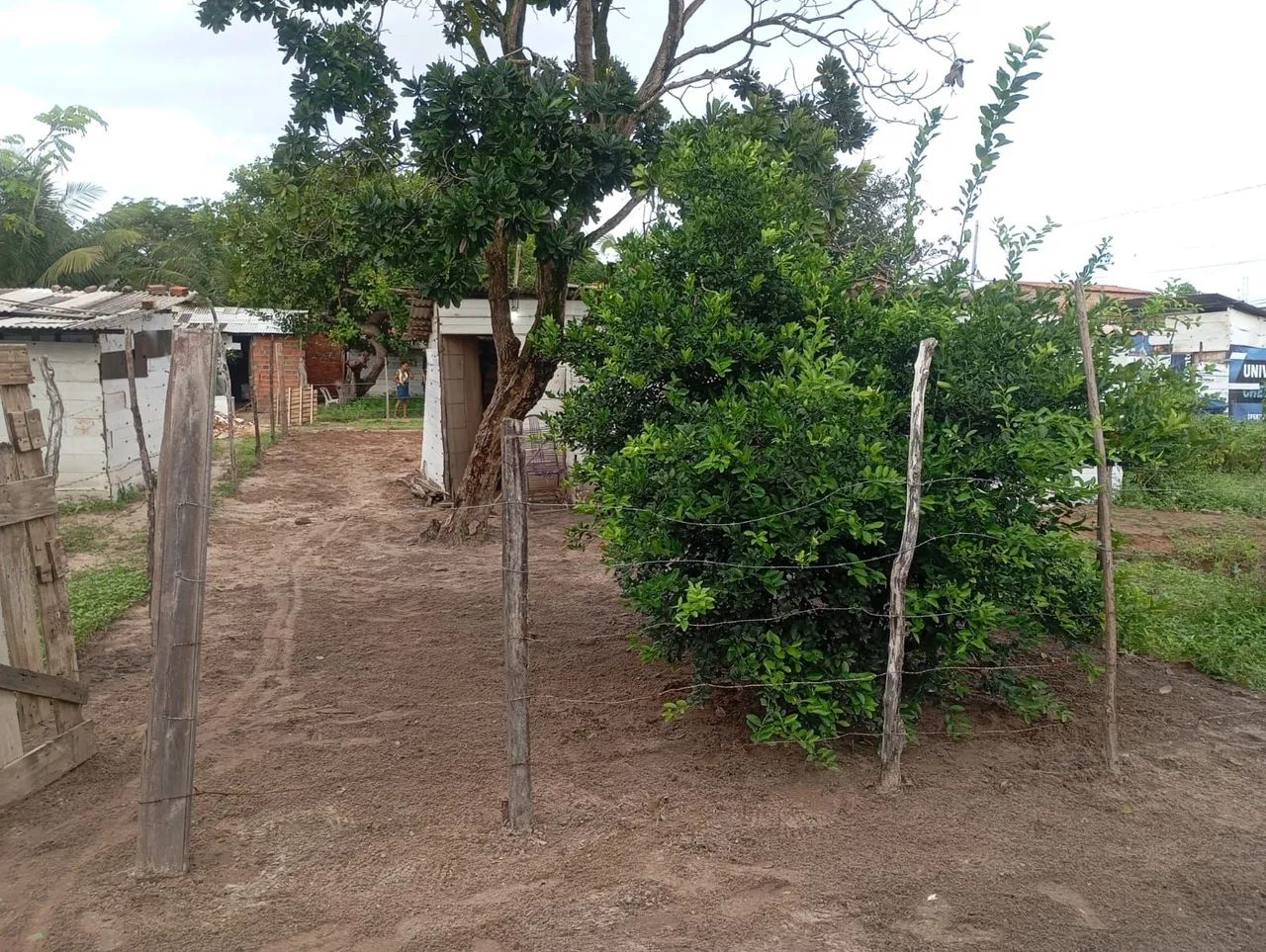 Vendo esse terreno