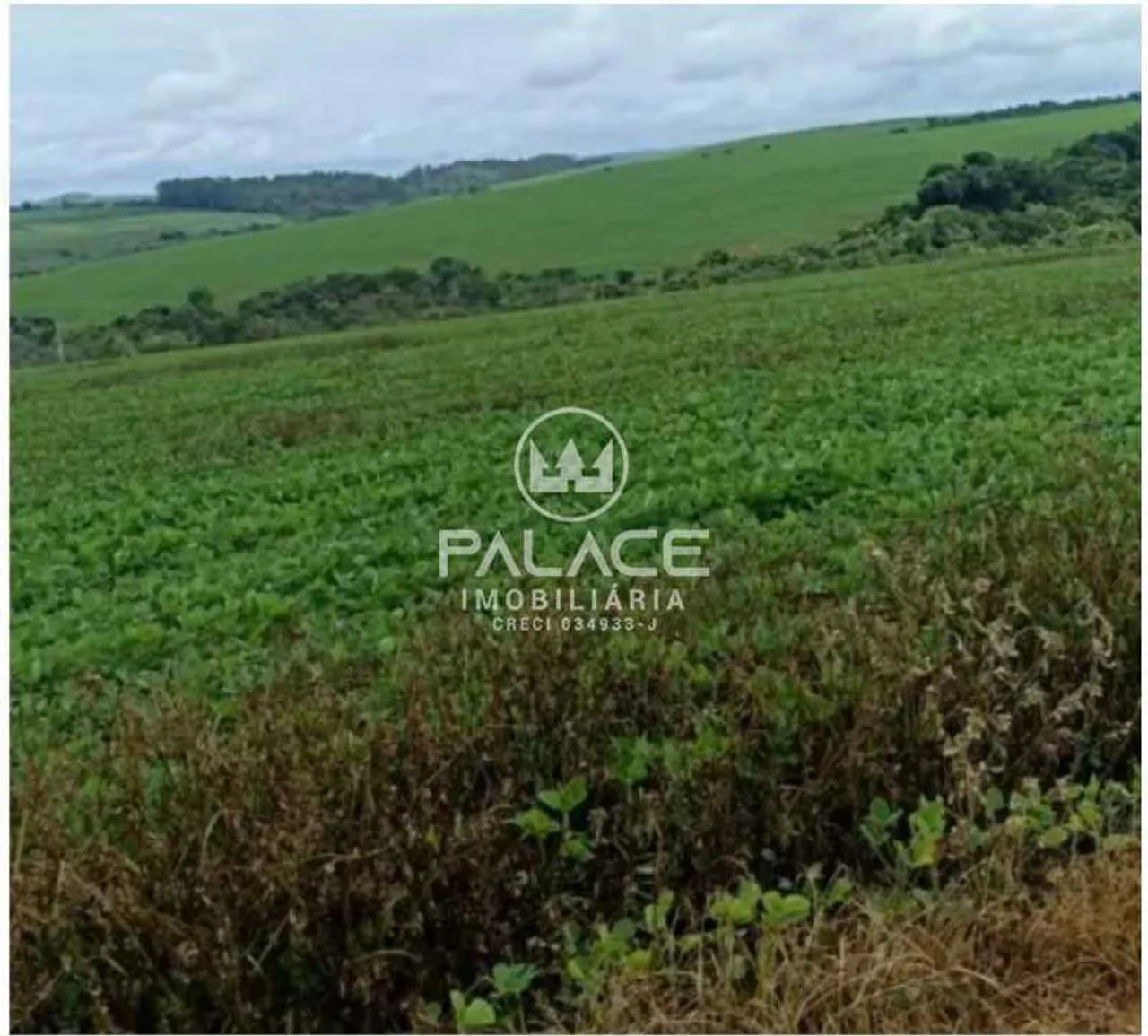 fazenda à venda em centro, ibiá
