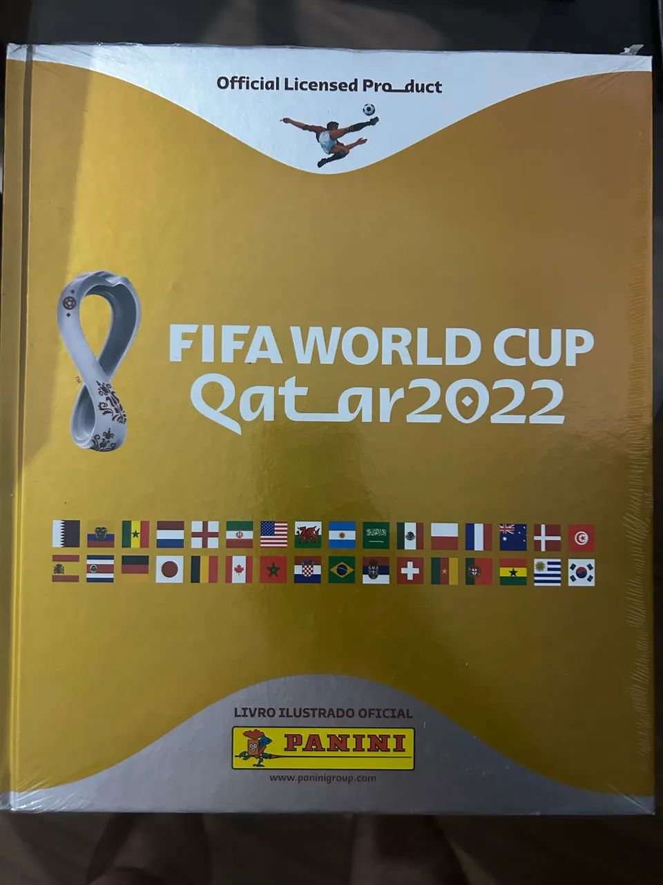 Álbum e figurinhas Panini Copa 2022 Catar  - Foto 2