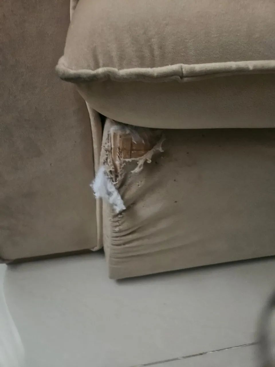 Sofá mola ensacada retrátil - Foto 4
