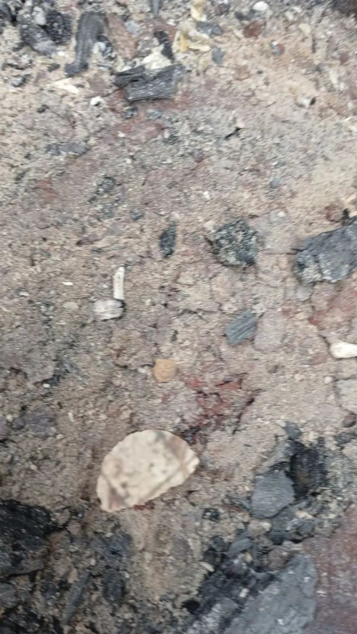 CHURRASQUEIRA DE RODA DE CAMINHÃO  - Foto 4