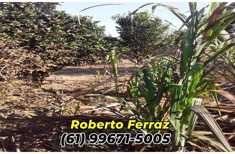 Corumbá 4 - Casa No Condomínio Nautico Tarumã.. - Foto 3