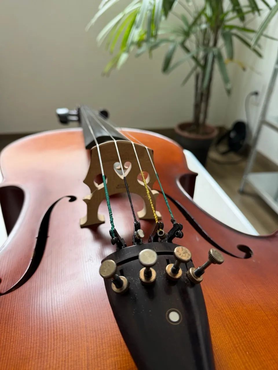 VIOLONCELO EAGLE CE300 - Foto 2