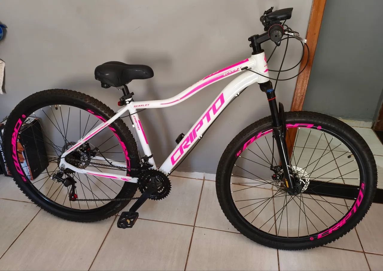 Bike aro 29 