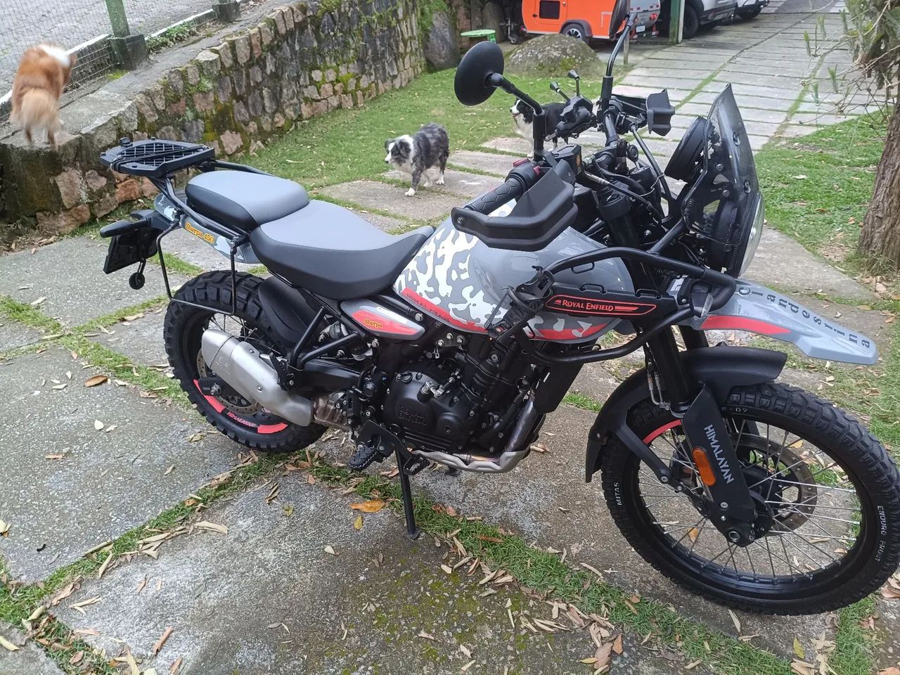 Barbada hymalaia 450 - Foto 2