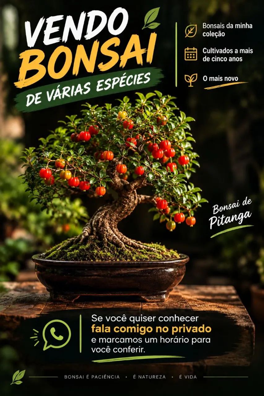 Vendas de bonsai  - Foto 3