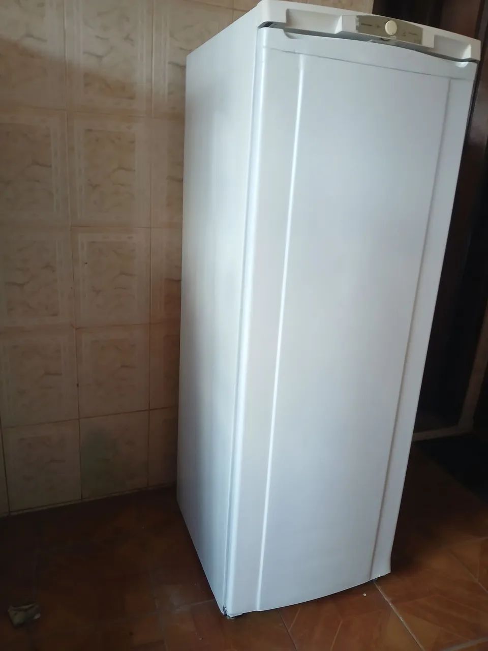Geladeira Electrolux  - Foto 4