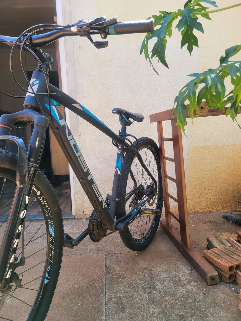 Bicicleta