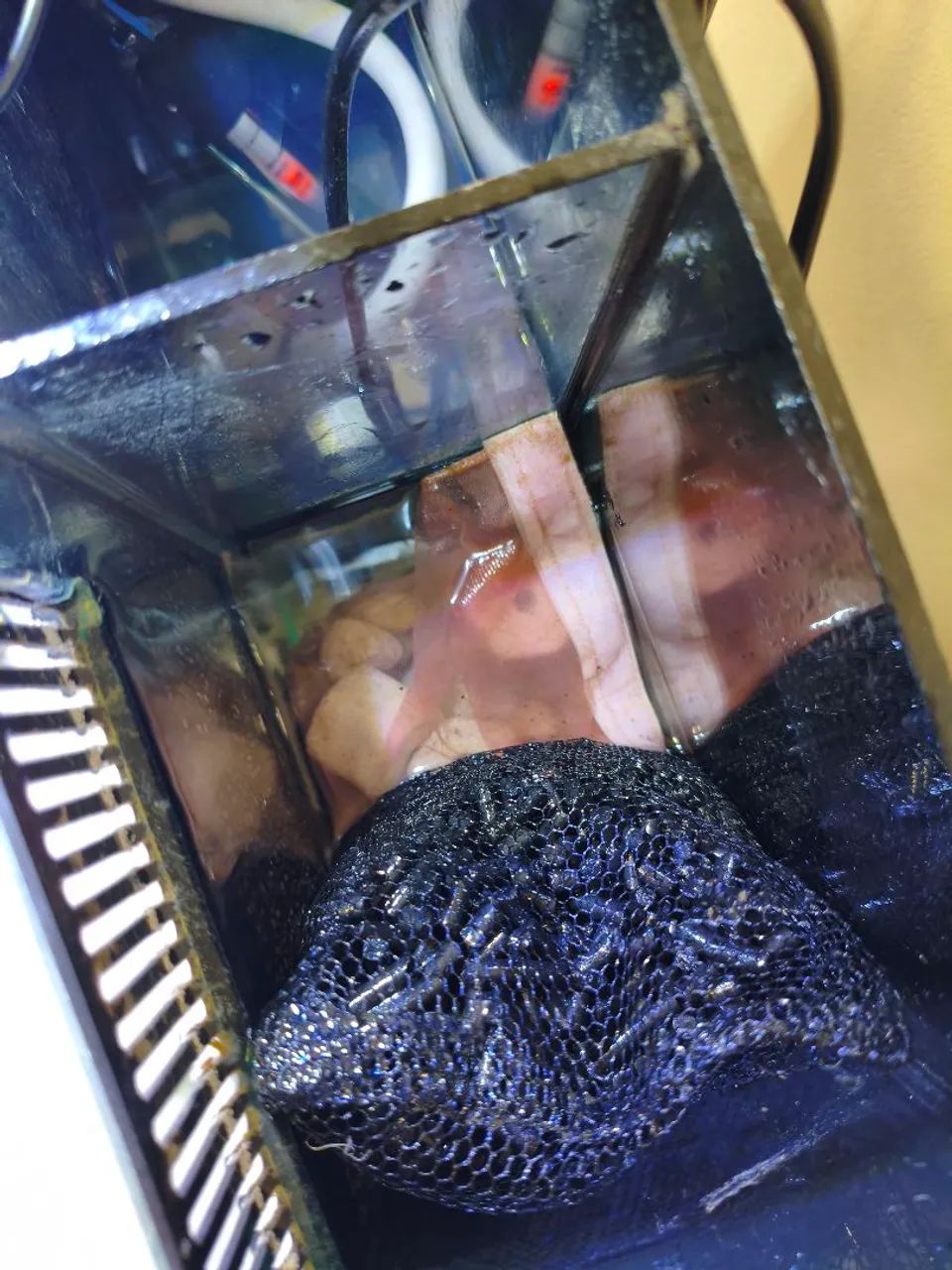 Aquário com sump traseiro, completo  - Foto 3
