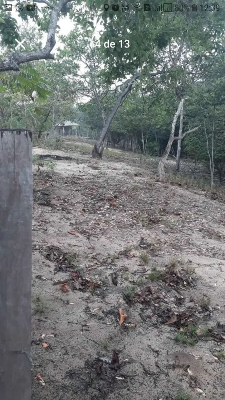 TERRENO EM ALTER DO CHAO