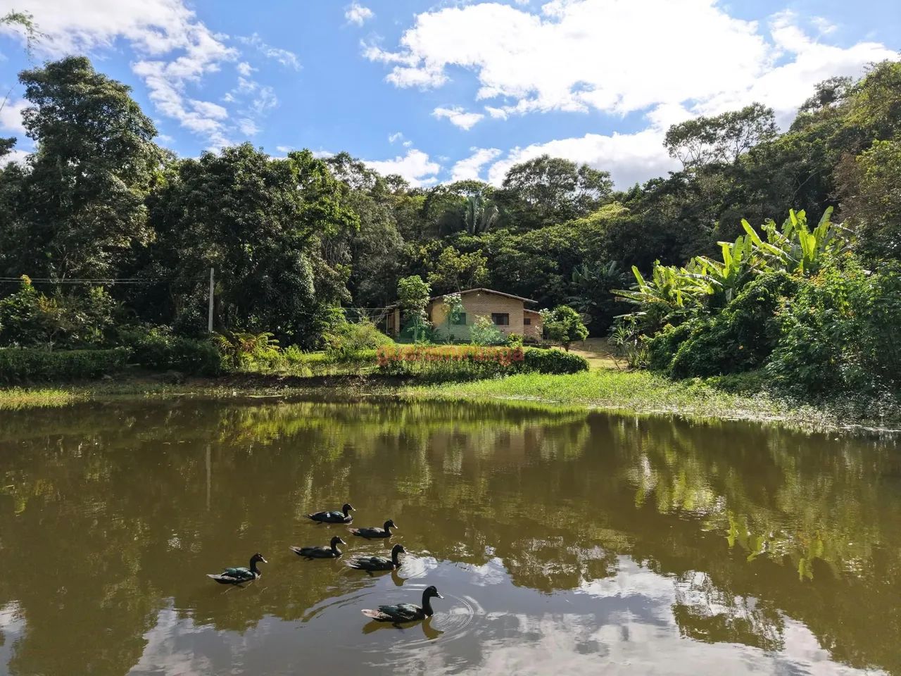 Sítio de 12,5 ha, com casa sede e casa de funcionários, com lago perene e muitas