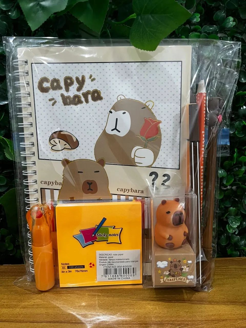 Kits de papelaria65578366193411121