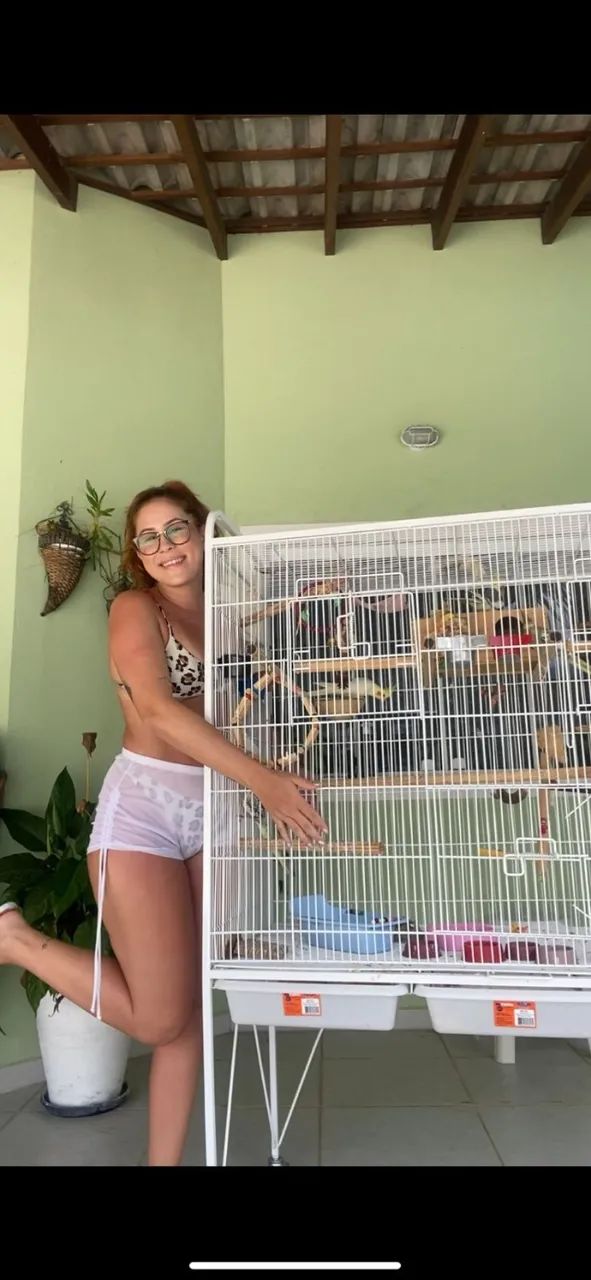 Viveiro Pássaros Calopsita Grande - Foto 3