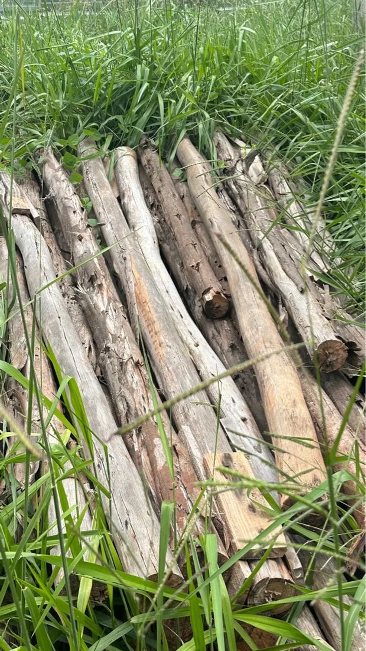 Pau de escoramento - 3 metros  - Foto 5