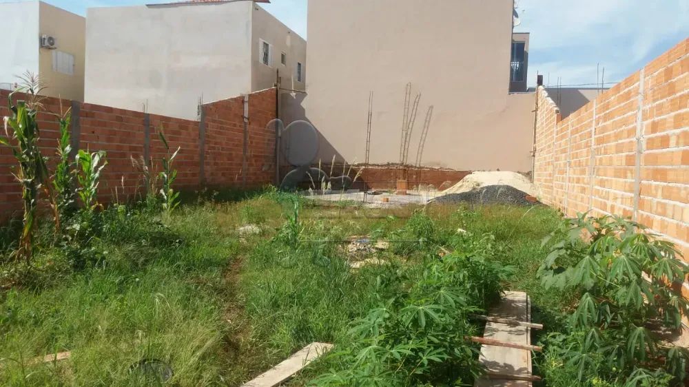 TERRENO EM BARRINHA - Foto 2