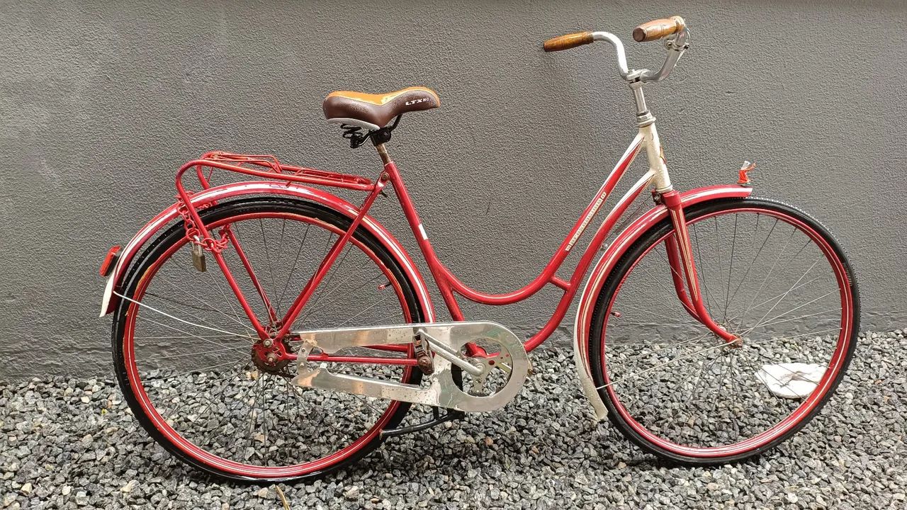 Vendo bicicleta centrum