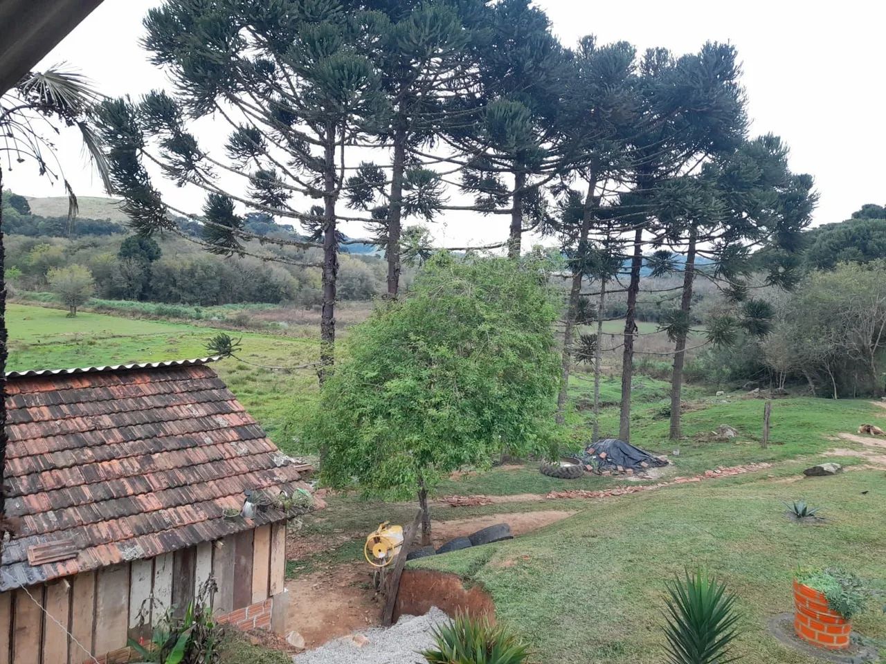 Chácara a venda - Foto 4