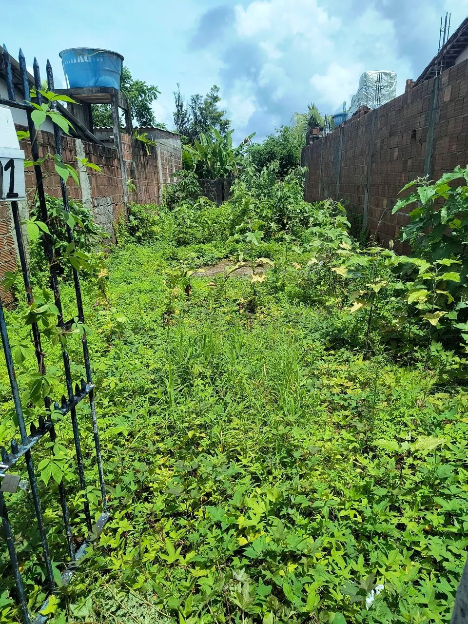 terreno - Foto 2