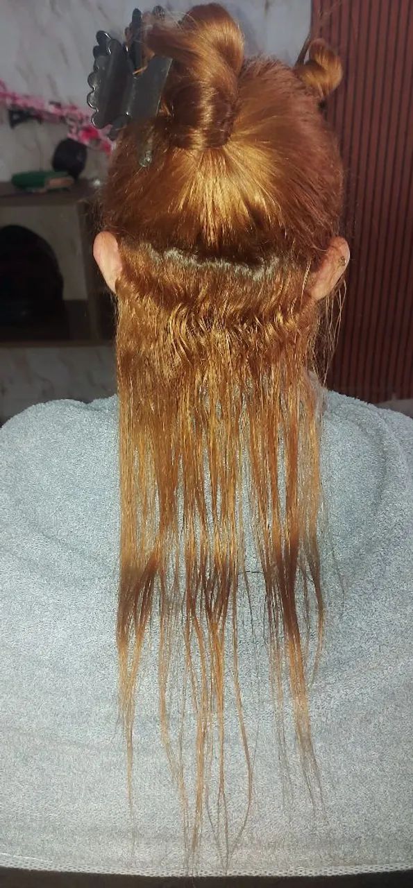 SELAGEM ORGÂNICA - Foto 4