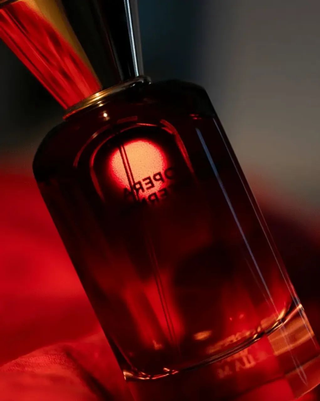 Fabbrica Della Musa Opera Infernal Edp 100ml - Foto 3