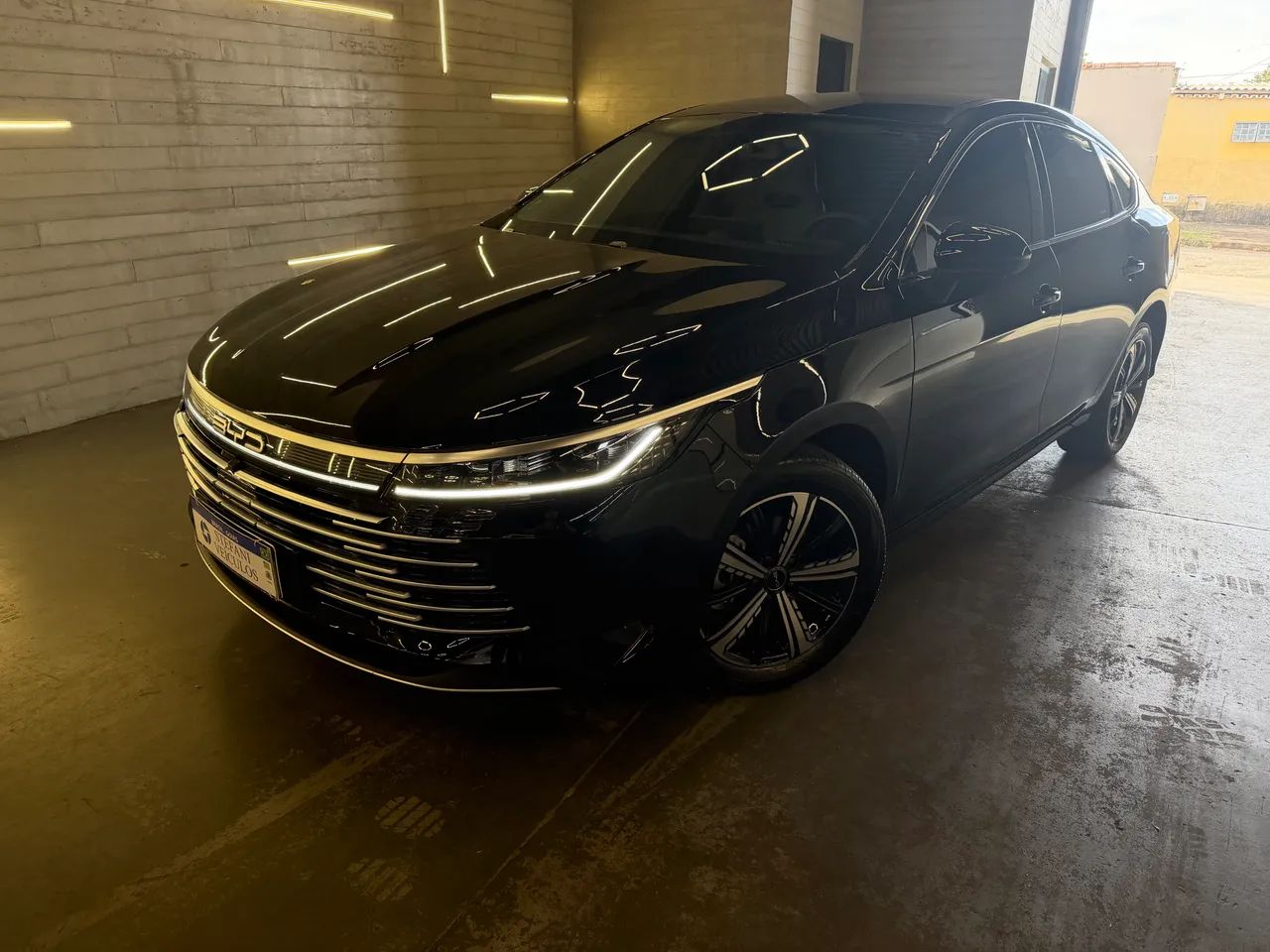 BYD King 2025