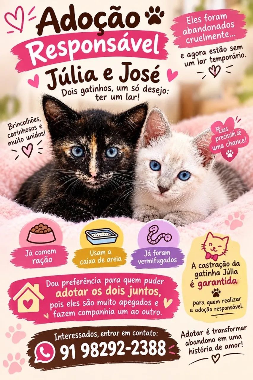 Gatinhos  - Foto 2