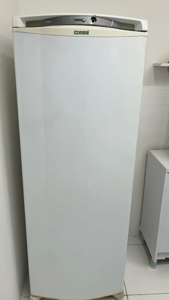 Freezer vertical com 5 gavetas 