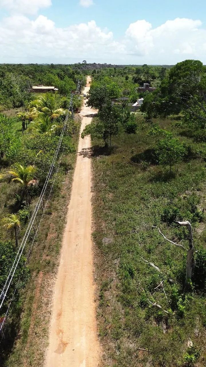 Foto - Mata de São João - 