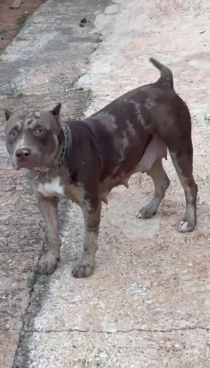 Pit monster 
