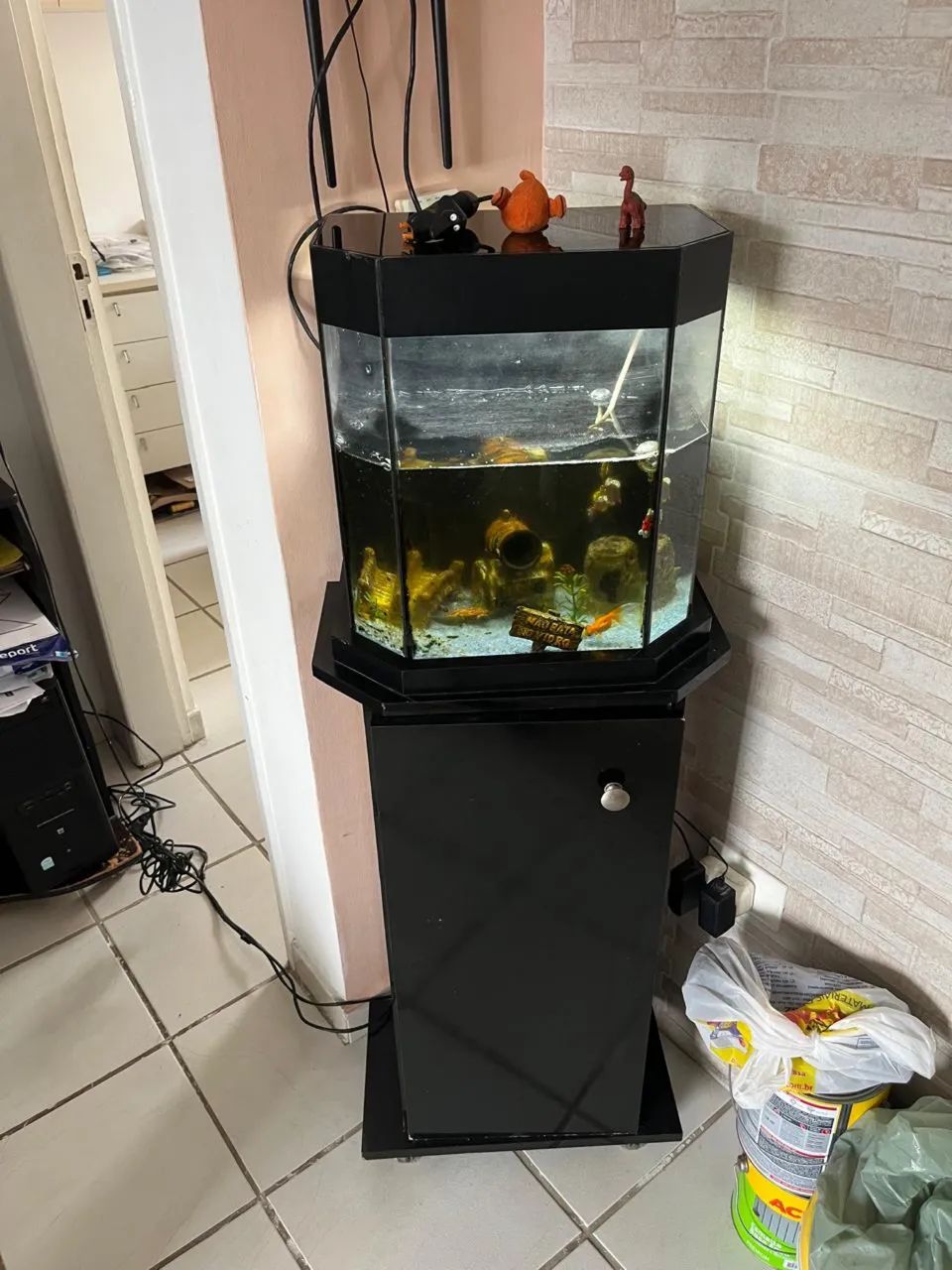 Aquário com móvel e equipamento