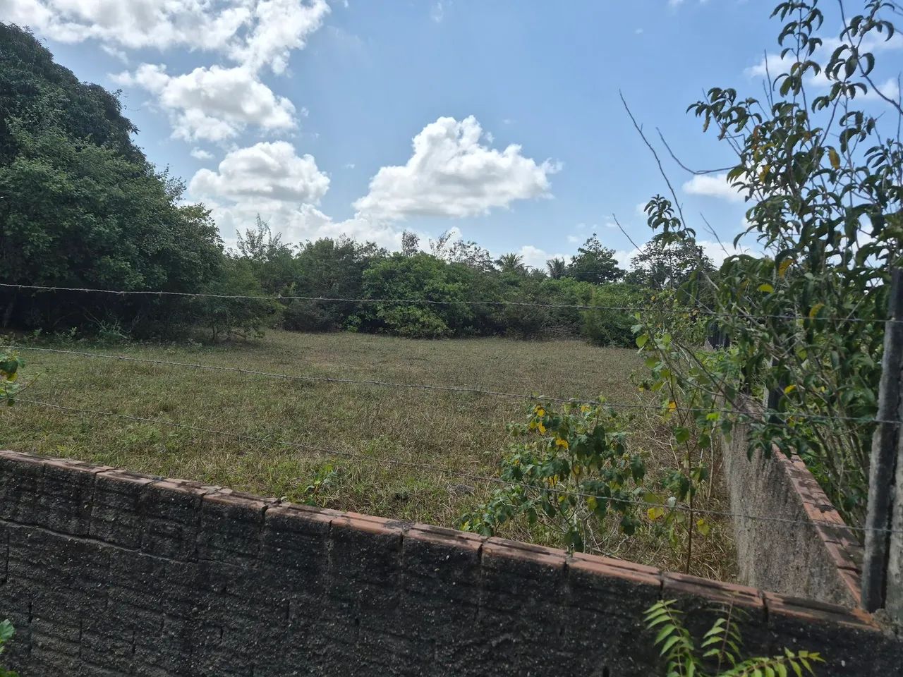 Vendo Terreno 40 x 53 - Foto 3