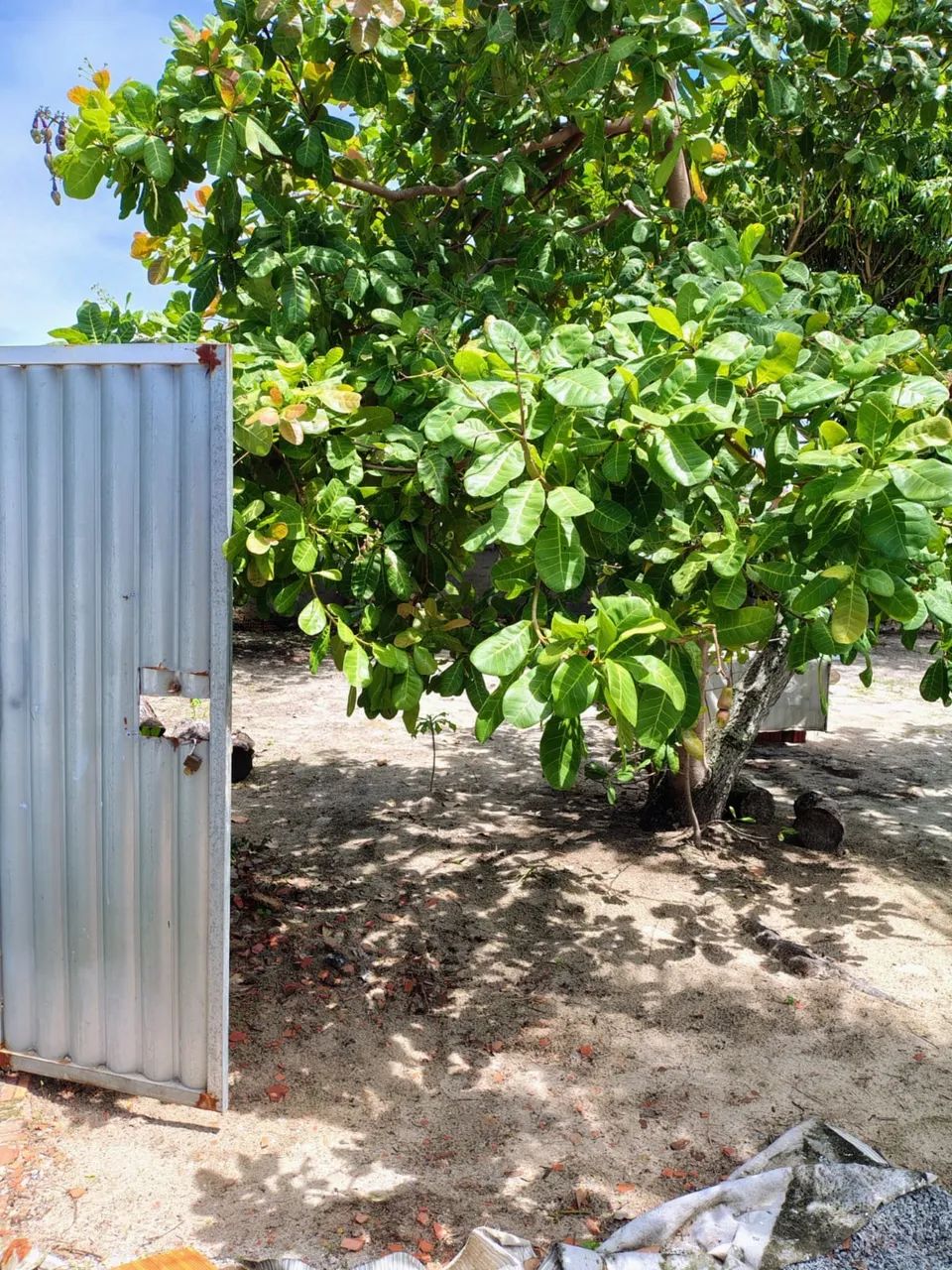 Vendo terreno em praia de tabuba - Foto 4