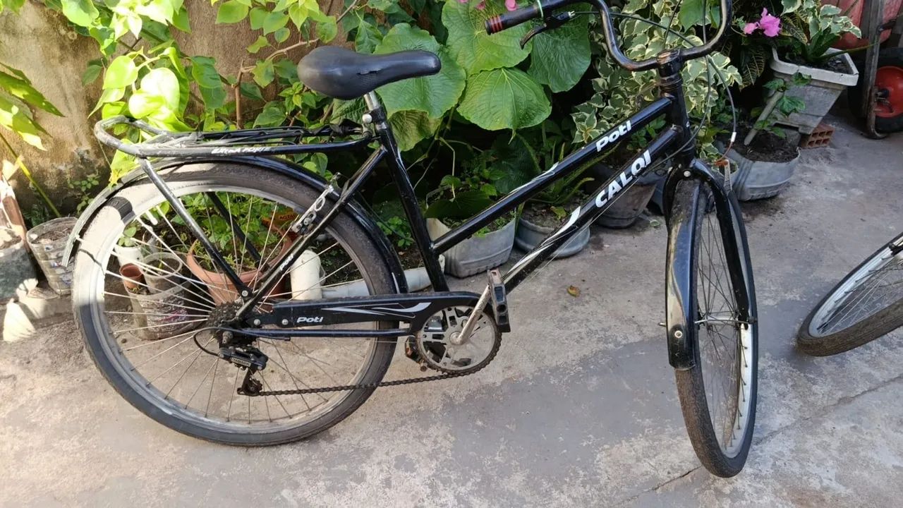 Bike poti 