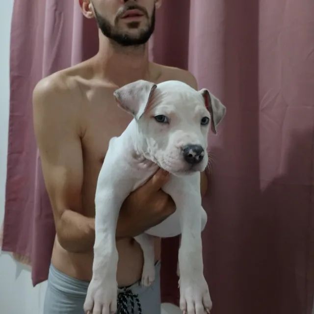 Pit Monsters  - Foto 5