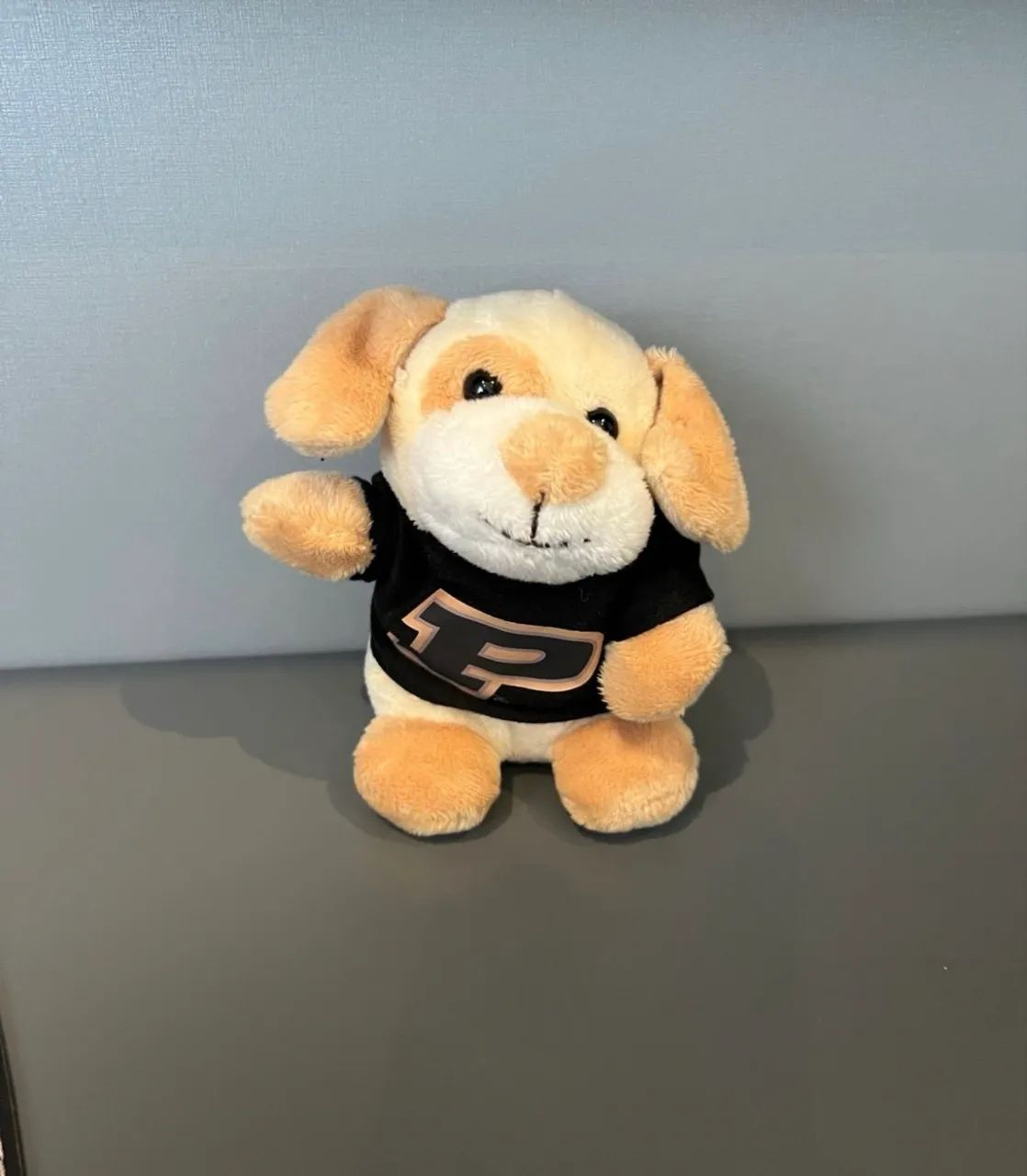Mascote Universidade Purdue