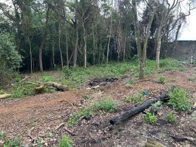 Terreno norte da ilha  - Foto 3