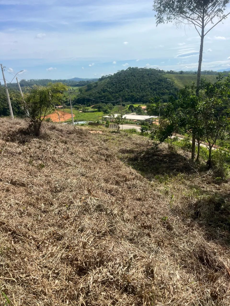 Foto - Viçosa - Bom Sucesso