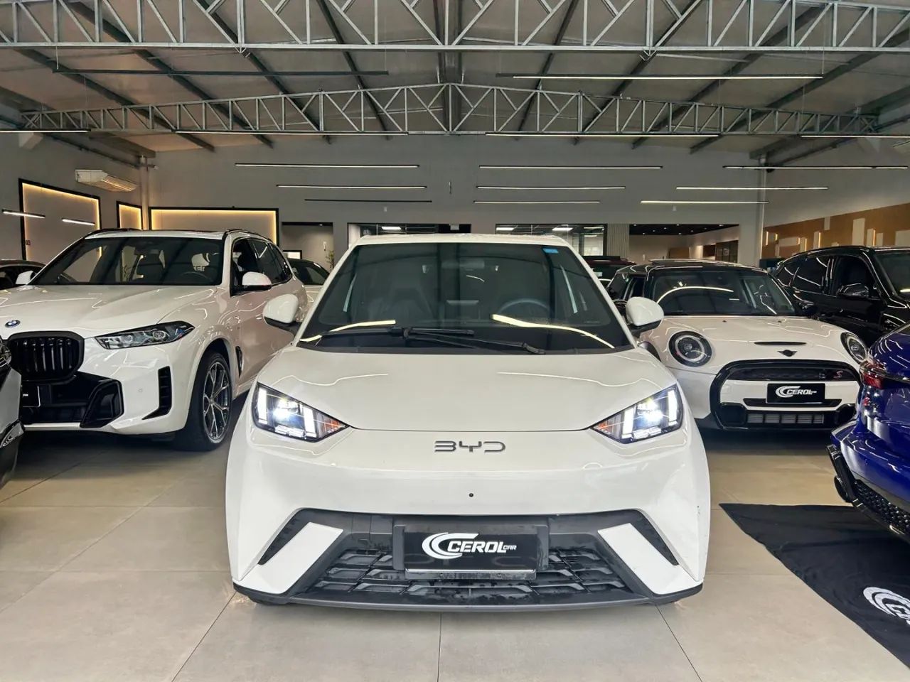 BYD Dolphin Mini (Elétrico) 2026