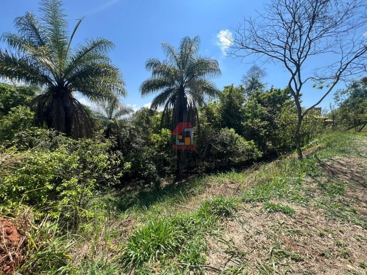 LOTE À VENDA CONDOMÍNIO VEREDAS - Foto 4