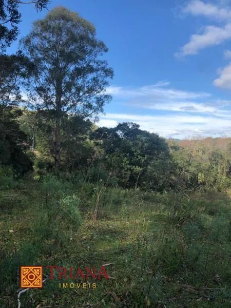 TERRENO PRÓXIMO AO CENTRO DE RIO RUFINO - Foto 2