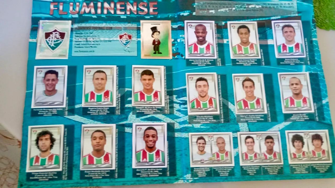 Álbum Brasileirão 2006 Completo - Panini - Foto 5