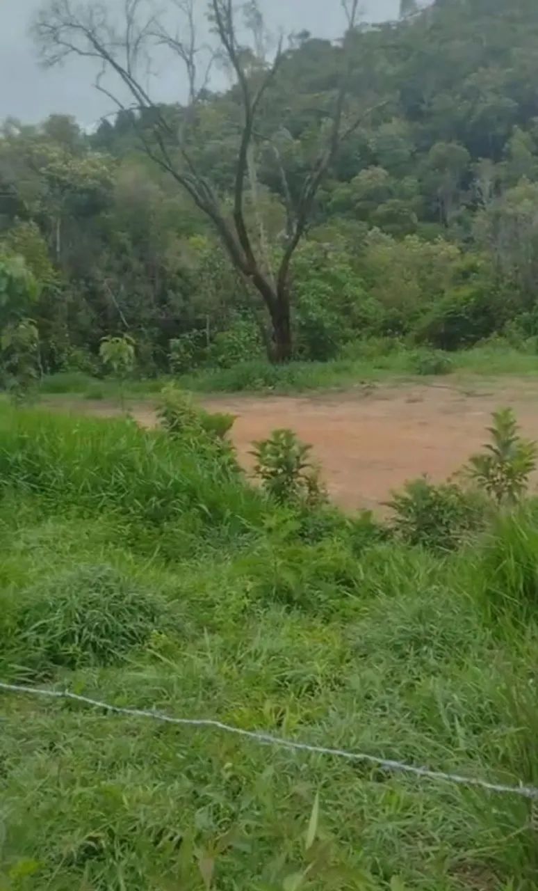 Chácara pertinho de BH - Foto 3