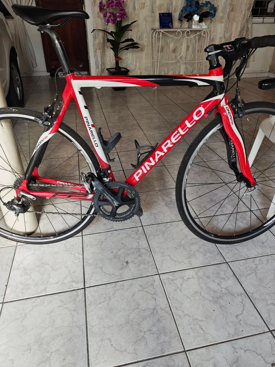 Speed Pinarello FP1