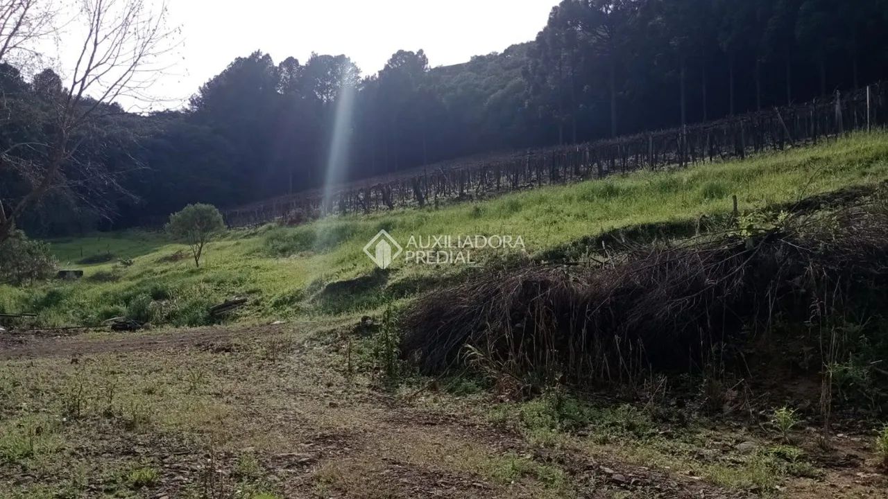 Chácara Monte Bérico - Foto 3